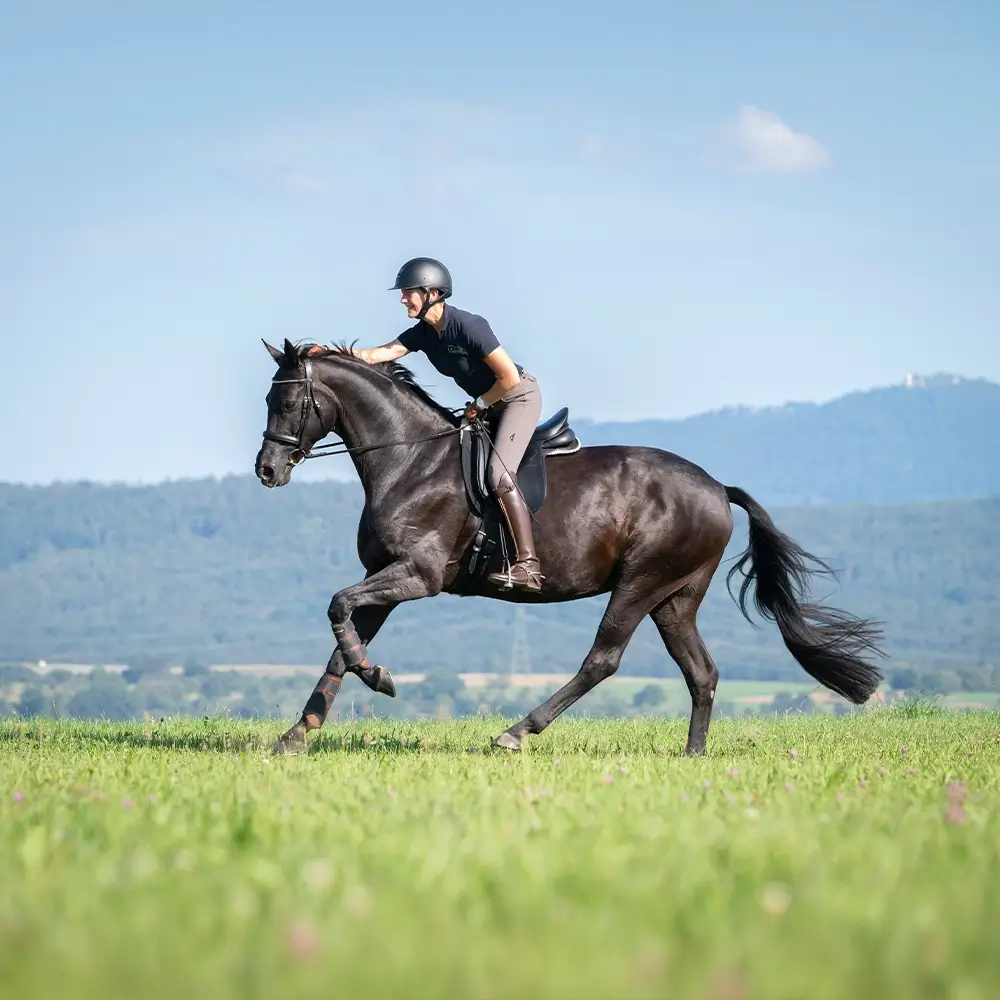 Daniela-Wais-Pferdegerecht-Reitunterricht-Pferdetraining-Pferdeausbildung-Beritt-klassische-Reitlehre-Neckartailfingen-Esslingen-Stuttgart-Kachel-3