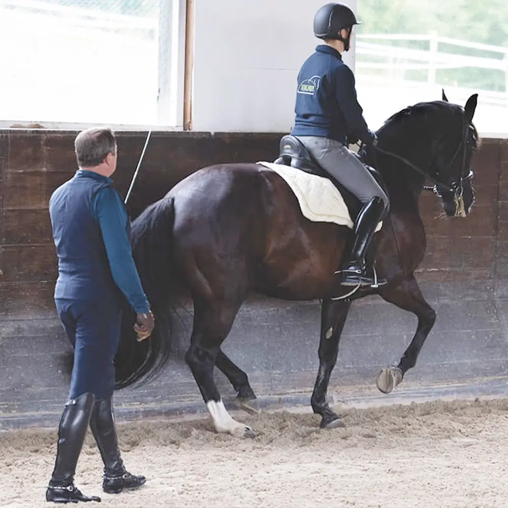 Daniela-Wais-Pferdegerecht-Reitunterricht-Pferdetraining-Pferdeausbildung-Beritt-klassische-Reitlehre-Neckartailfingen-Esslingen-Stuttgart