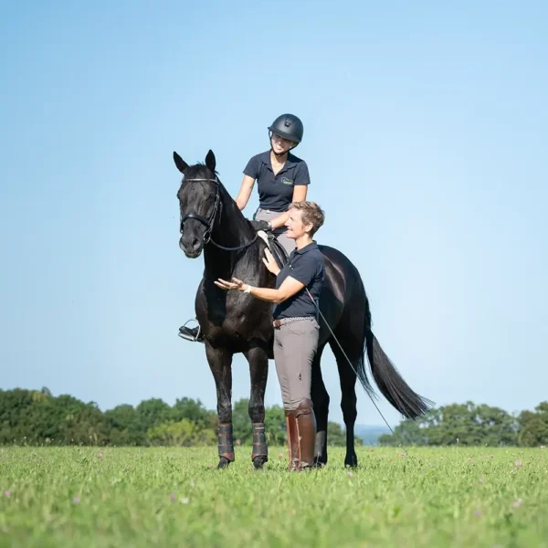 Daniela-Wais-Pferdegerecht-Reitunterricht-Pferdetraining-Pferdeausbildung-Beritt-klassische-Reitlehre-Neckartailfingen-Esslingen-Stuttgart-Kachel-3