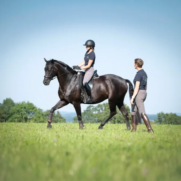 Daniela-Wais-Pferdegerecht-Reitunterricht-Pferdetraining-Pferdeausbildung-Beritt-klassische-Reitlehre-Neckartailfingen-Esslingen-Stuttgart-Kacheln-1