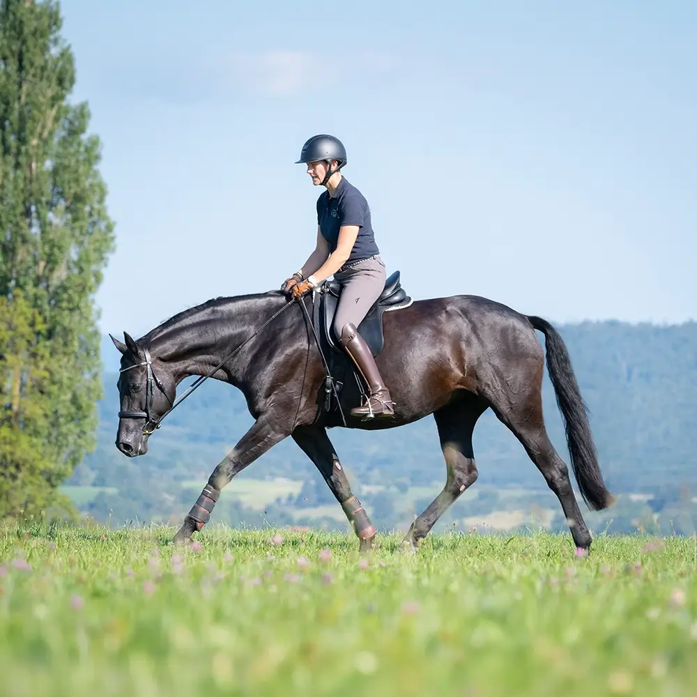 Daniela-Wais-Pferdegerecht-Reitunterricht-Pferdetraining-Pferdeausbildung-Beritt-klassische-Reitlehre-Neckartailfingen-Esslingen-Stuttgart-Kachel-1