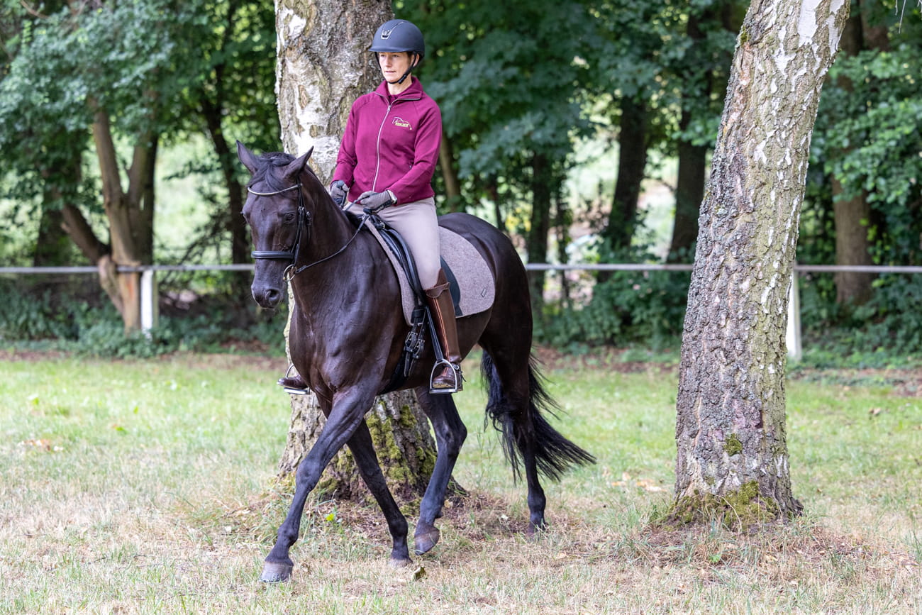 Daniela-Wais-Pferdegerecht-Reitunterricht-Pferdetraining-Pferdeausbildung-Beritt-klassische-Reitlehre-Neckartailfingen-Esslingen-Stuttgart