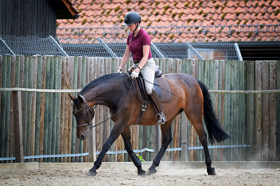 Daniela-Wais-Pferdegerecht-Reitunterricht-Pferdetraining-Pferdeausbildung-Beritt-klassische-Reitlehre-Neckartailfingen-Esslingen-Stuttgart